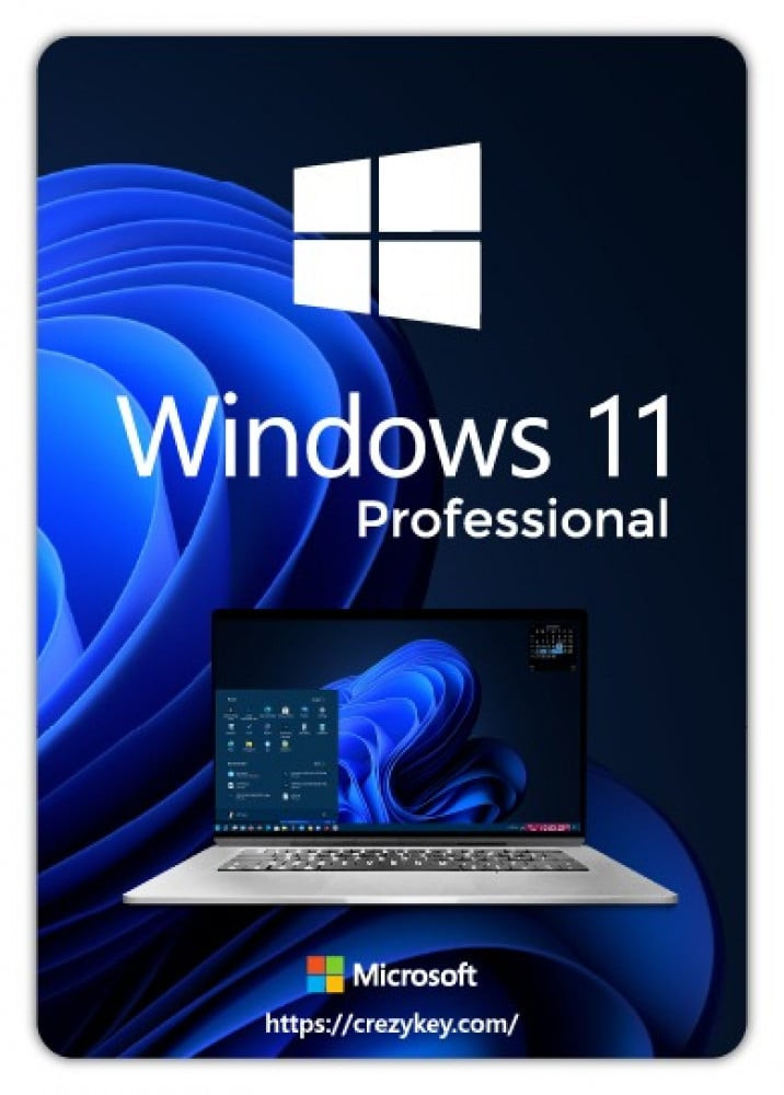 Windows 11 Pro